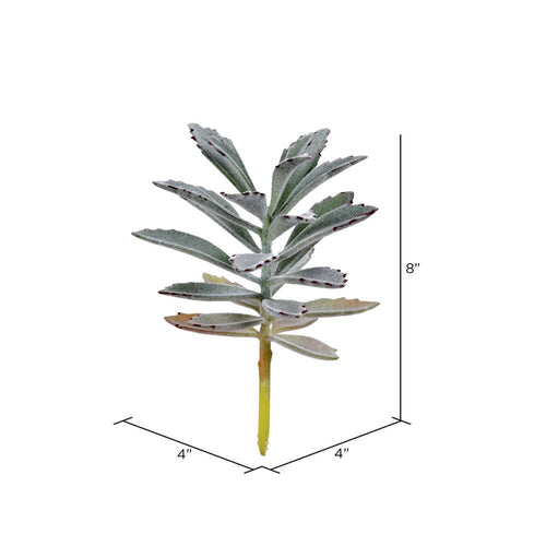 Vickerman 8" Artificial Succulent Pick, Set of 4: 8" / Green / Plastic