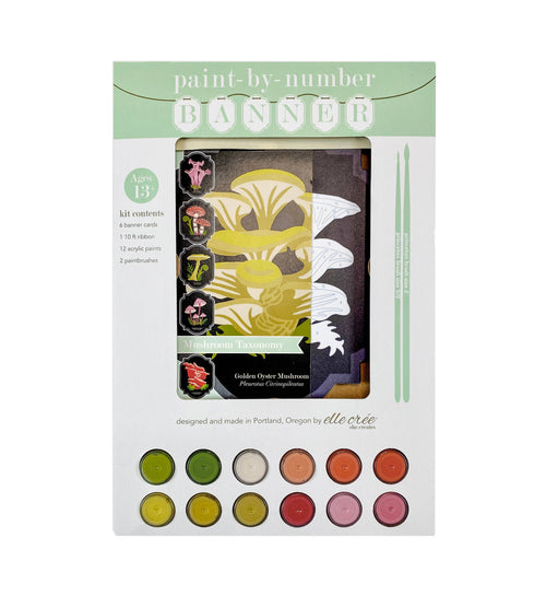 Mushroom Taxonomy Paint-by-Number Hanging Banner Kit