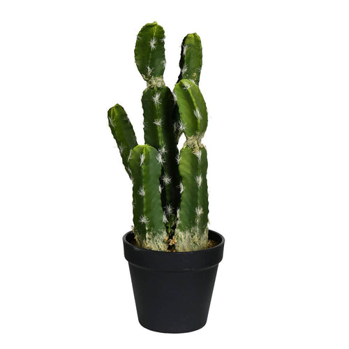 Vickerman 14" Artificial Green Potted Cactus.: 14" / Green / PE
