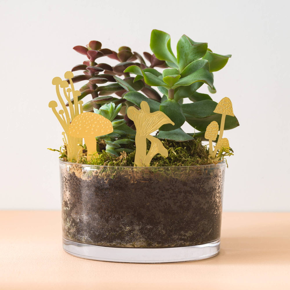 Mini Mushrooms brass, plant pot & terrarium decoration