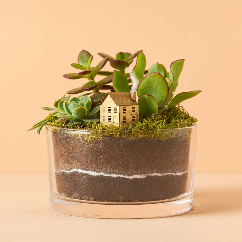 Mini Model House - Terrarium decoration DIY kit
